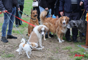 Aménagements du parc canin: la réouverture est reportée